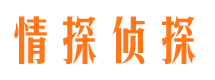 凤泉市婚外情调查